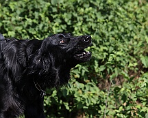 C_Trainingswochenende_2025_FD1A3918-20250531-094606