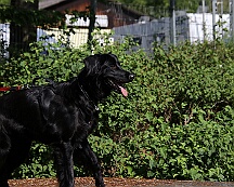 C_Trainingswochenende_2025_FD1A3919-20250531-094702