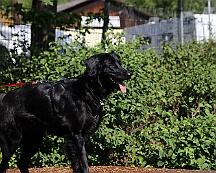 C_Trainingswochenende_2025_FD1A3920-20250531-094702