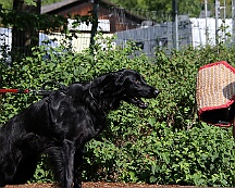 C_Trainingswochenende_2025_FD1A3921-20250531-094703