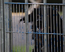 C_Trainingswochenende_2025_FD1A3925-20250531-094952