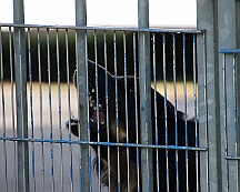 C_Trainingswochenende_2025_FD1A3930-20250531-094957