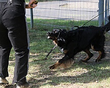 C_Trainingswochenende_2025_FD1A3935-20250531-095129