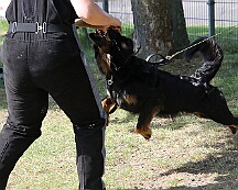 C_Trainingswochenende_2025_FD1A3937-20250531-095130