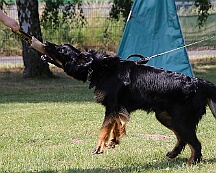 C_Trainingswochenende_2025_FD1A3939-20250531-095251