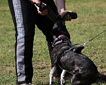 C_Trainingswochenende_2025_FD1A3943-20250531-095540