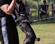 C_Trainingswochenende_2025_FD1A3946-20250531-095541