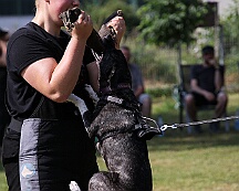 C_Trainingswochenende_2025_FD1A3947-20250531-095541