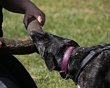 C_Trainingswochenende_2025_FD1A3950-20250531-095558