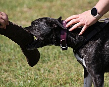 C_Trainingswochenende_2025_FD1A3951-20250531-095600