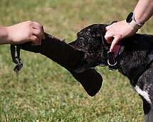 C_Trainingswochenende_2025_FD1A3952-20250531-095600