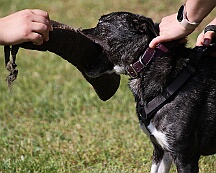 C_Trainingswochenende_2025_FD1A3953-20250531-095600