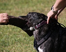 C_Trainingswochenende_2025_FD1A3954-20250531-095601