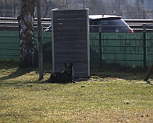 Fruehjahrspruefung_Maerz_2025_FD1A2701-20250308