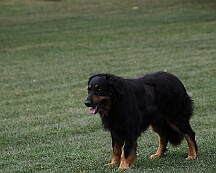 Fun_Pokal_2025_FD1A4570-20250823