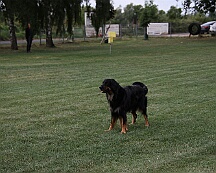 Fun_Pokal_2025_FD1A4585-20250823