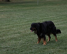 Fun_Pokal_2025_FD1A4588-20250823