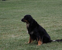 Fun_Pokal_2025_FD1A4590-20250823