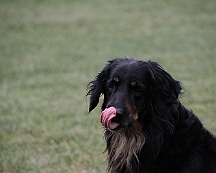 Fun_Pokal_2025_FD1A4593-20250823