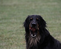 Fun_Pokal_2025_FD1A4594-20250823