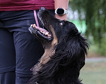 Fun_Pokal_2025_FD1A4599-20250823