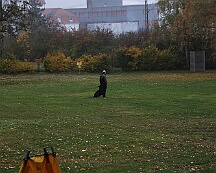 Herbstprüfung_November_2025_FD1A6055-20251108