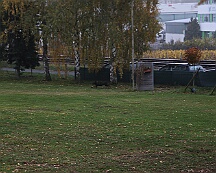 Herbstprüfung_November_2025_FD1A6057-20251108