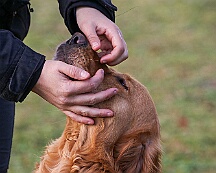 Workshop_Ollmann_Maerz_2025_FD1A1925-20250301