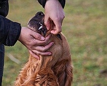 Workshop_Ollmann_Maerz_2025_FD1A1926-20250301