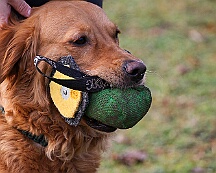 Workshop_Ollmann_Maerz_2025_FD1A1930-20250301