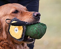 Workshop_Ollmann_Maerz_2025_FD1A1932-20250301