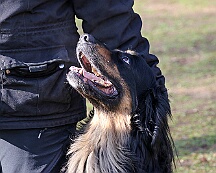 Workshop_Ollmann_Maerz_2025_FD1A1960-20250301