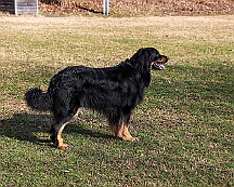 Workshop_Ollmann_Maerz_2025_FD1A1961-20250301