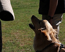 C_Trainingswochenende_Juli_2026_FD1A9306