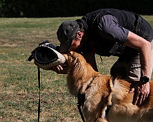 C_Trainingswochenende_Juli_2026_FD1A9310