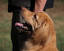 C_Trainingswochenende_Juli_2026_FD1A9312