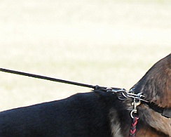 Uebungswochenende_September_2012_DSC_1666