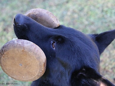 Trainingswochenende Oktober