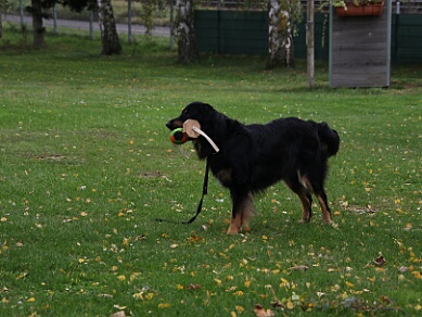 ABC Trainingswochenende Oktober 2024