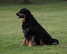 B_C_Trainingswochenende_Juni_2026_FD1A7775