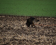 Fruehjahrspruefung_Maerz_2026_FD1A7369-20260314