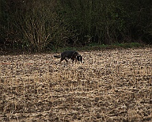 Fruehjahrspruefung_Maerz_2026_FD1A7379-20260314