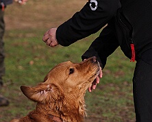 Workshop_Ollmann_Maerz_2026_FD1A6370-20260228