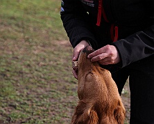 Workshop_Ollmann_Maerz_2026_FD1A6374-20260228